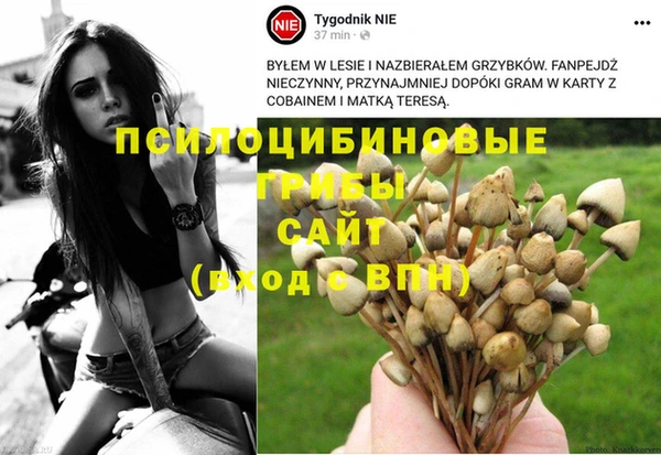 mdpv Нефтекумск