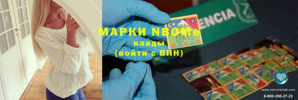 индика Нея