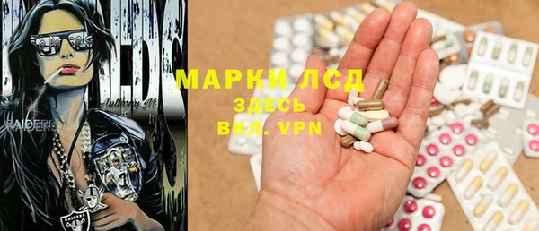 индика Нея
