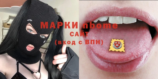 индика Нея