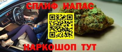 СК Нальчик