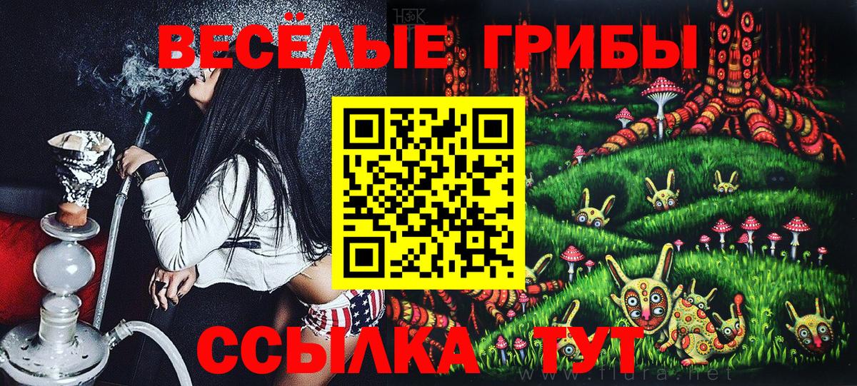 Псилоцибиновые грибы прущие грибы Курган