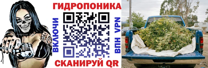 закладка  Курган  Бошки марихуана конопля 